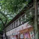 重庆旅游 缩略图 13