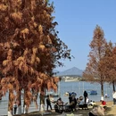 清远旅游 缩略图 10