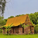 杭州旅游 缩略图 10