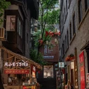 重庆旅游 缩略图 12