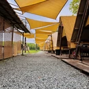 杭州旅游 缩略图 7