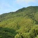 九华山风景区 - 池州市旅游 缩略图 3