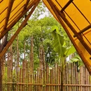 杭州旅游 缩略图 14
