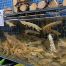 青岛旅游 缩略图 13