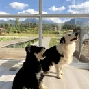 西安旅游 缩略图 1