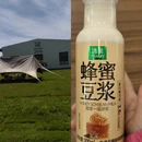 上海旅游 缩略图 2