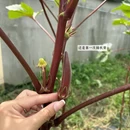 天津旅游 缩略图 3