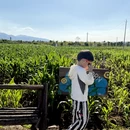 西安旅游 缩略图 2