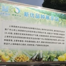 上海旅游 缩略图 13