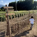 西安旅游 缩略图 4