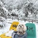 苏州旅游 缩略图 5