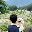 苏州旅游 缩略图 12