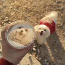 苏州旅游 缩略图 11