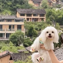 苏州旅游 缩略图 13