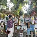 成都旅游 缩略图 7
