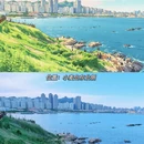 青岛旅游 缩略图 8