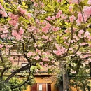 上海旅游 缩略图 5