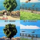 青岛旅游 缩略图 5
