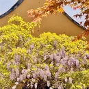 上海旅游 缩略图 6