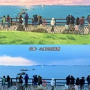 青岛旅游 缩略图 7