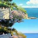 青岛旅游 缩略图 6