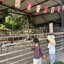 成都旅游 缩略图 5
