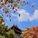 上海旅游 缩略图 9