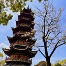 上海旅游 缩略图 17