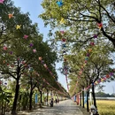 东莞旅游 缩略图 2