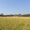 东莞旅游 缩略图 9