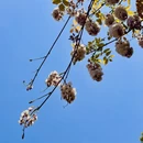 上海旅游 缩略图 10
