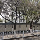 南京旅游 缩略图 8