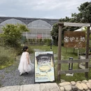 杭州旅游 缩略图 8