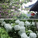 上海旅游 缩略图 14