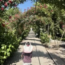 成都旅游 缩略图 10