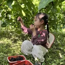 成都旅游 缩略图 6