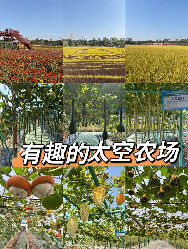 东莞旅游