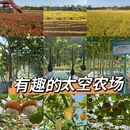 东莞旅游 缩略图 1