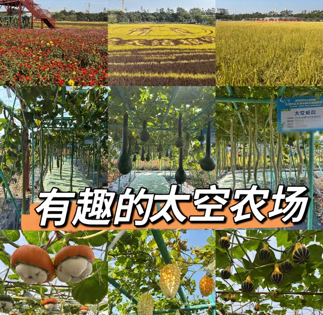 东莞旅游 1