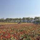 东莞旅游 缩略图 10