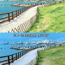 青岛旅游 缩略图 12