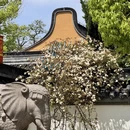上海旅游 缩略图 16