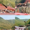 西安旅游 缩略图 15