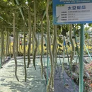 东莞旅游 缩略图 17