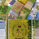 东莞旅游 缩略图 18