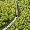 西安旅游 缩略图 11