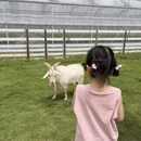 杭州旅游 缩略图 9
