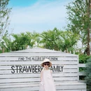 杭州旅游 缩略图 4