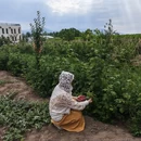 伊犁旅游 缩略图 3