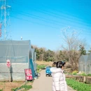 南京旅游 缩略图 6